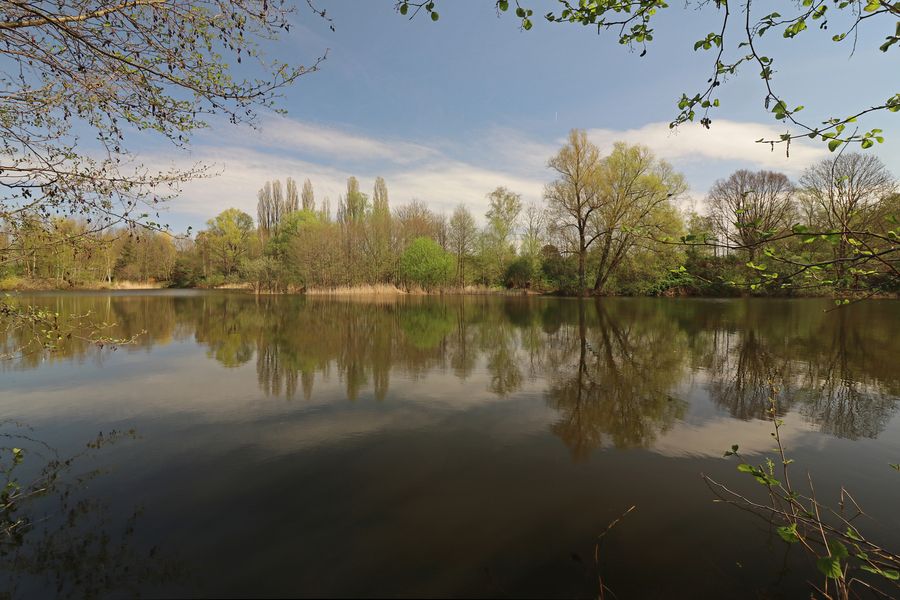 Spiegelung auf dem Fischteich