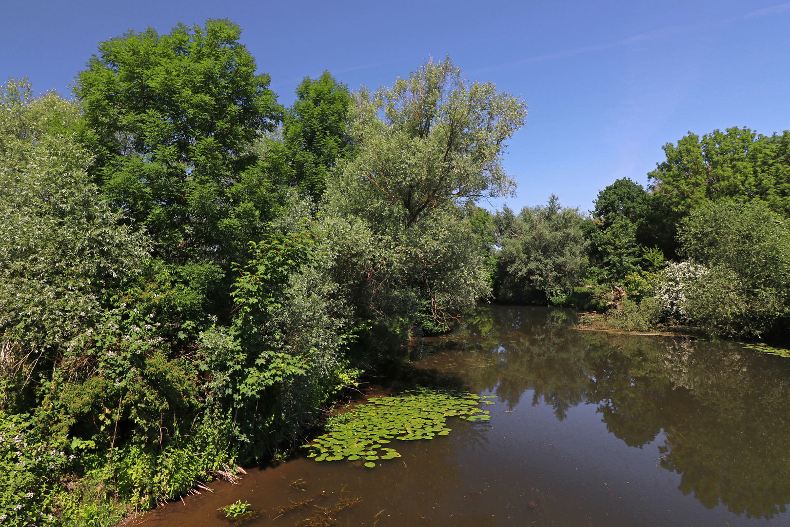 Spiegelung auf dem Fluss