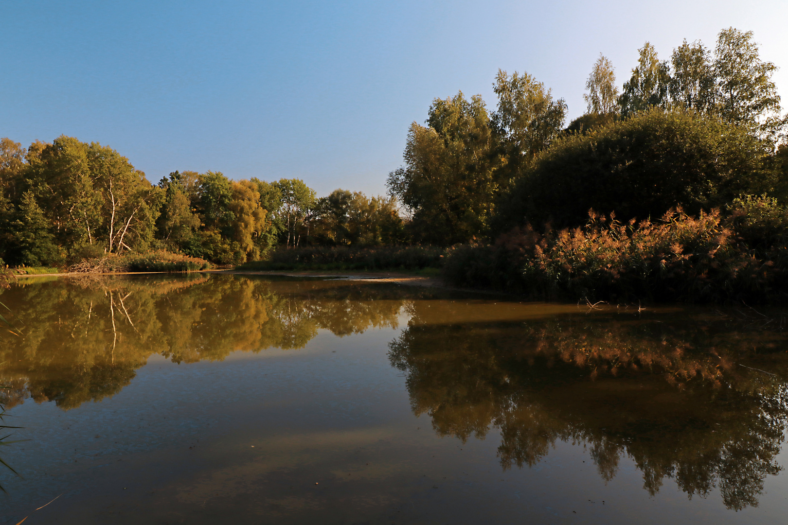 Spiegelung auf dem Großen Teich