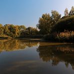 Spiegelung auf dem Großen Teich