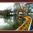 Spiegelung auf dem Hafenwasser