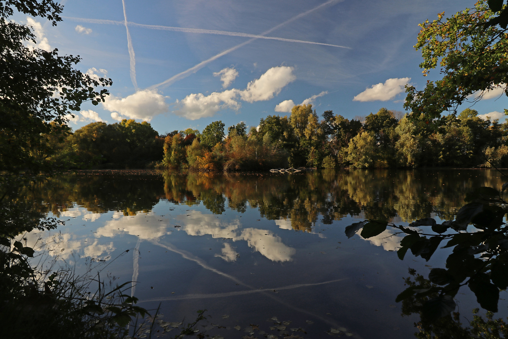 Spiegelung auf dem Quellenteich