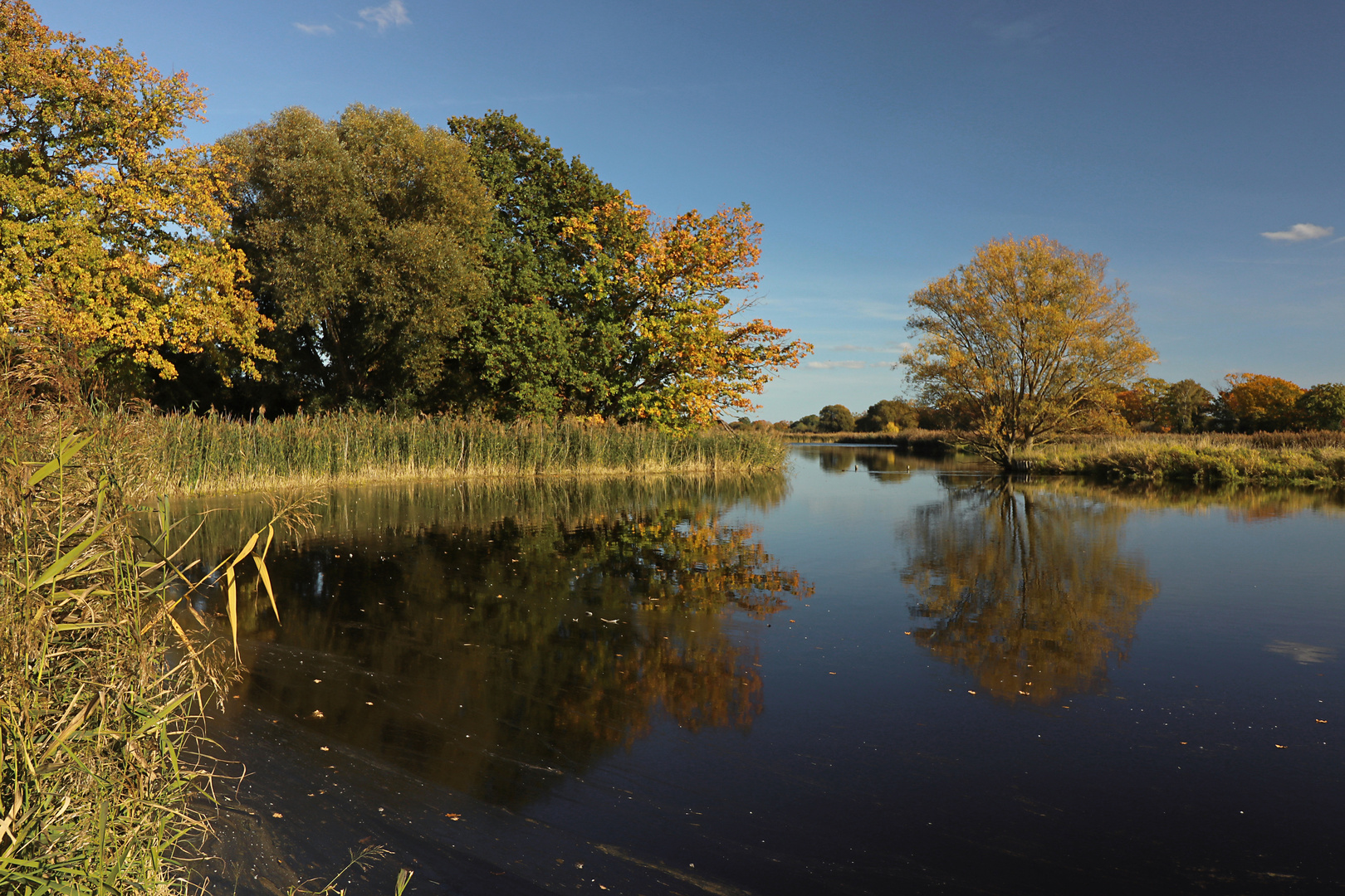 Spiegelung auf dem Rieselteich