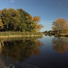 Spiegelung auf dem Rieselteich