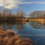 Spiegelung auf dem Rückhaltebecken