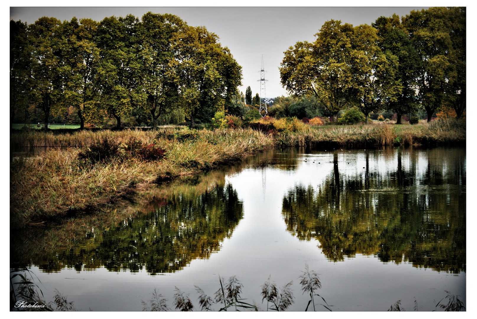 Spiegelung auf dem Sedimentbecken 