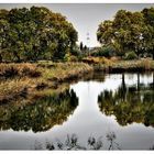 Spiegelung auf dem Sedimentbecken 