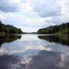 Spiegelung auf dem See Sidlangen