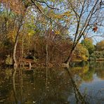 Spiegelung auf dem Südteich