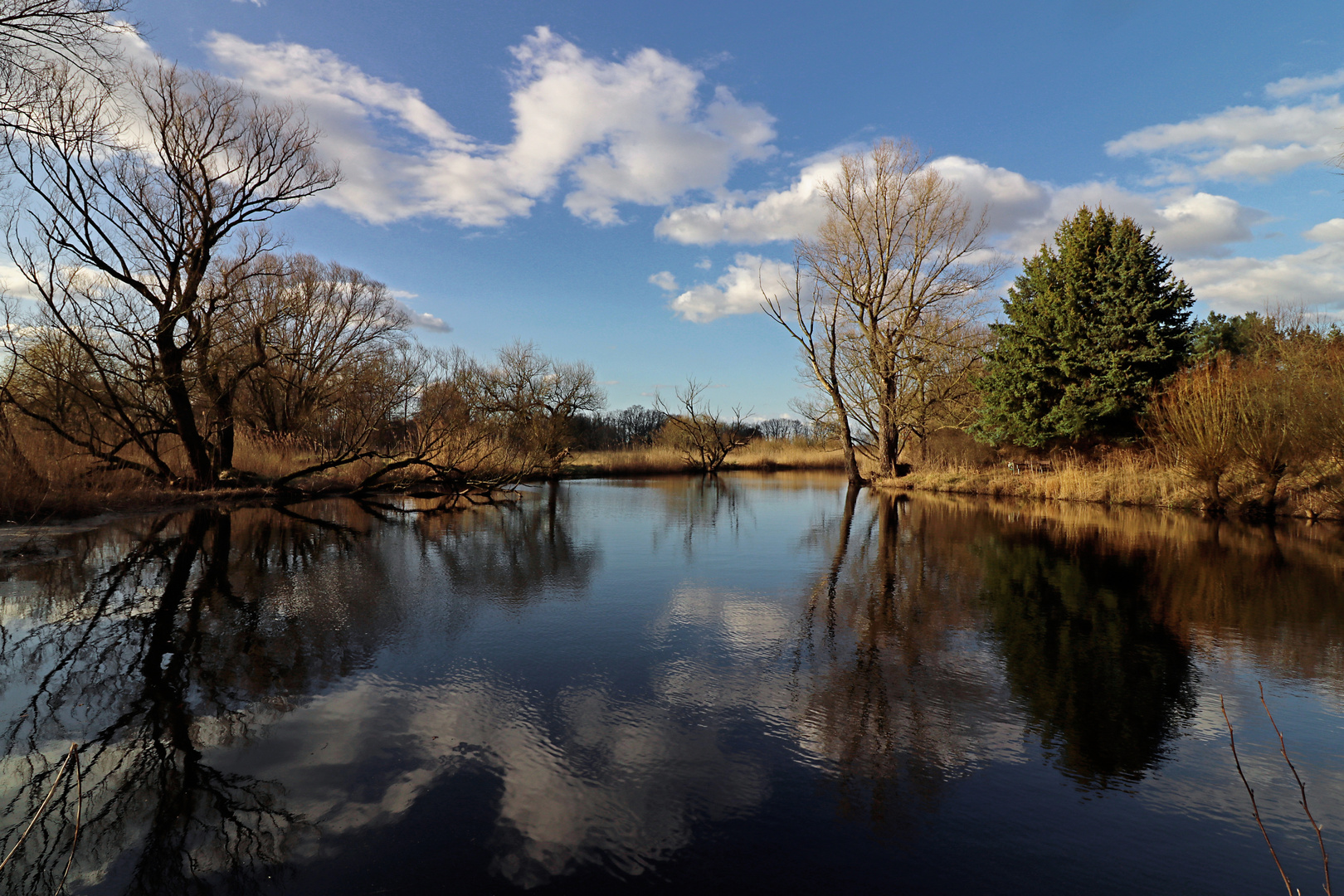 Spiegelung auf dem Teich