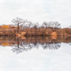 Spiegelung auf dem Teterower See