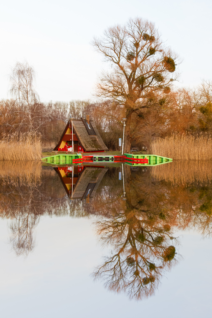 Spiegelung auf dem Teterower See