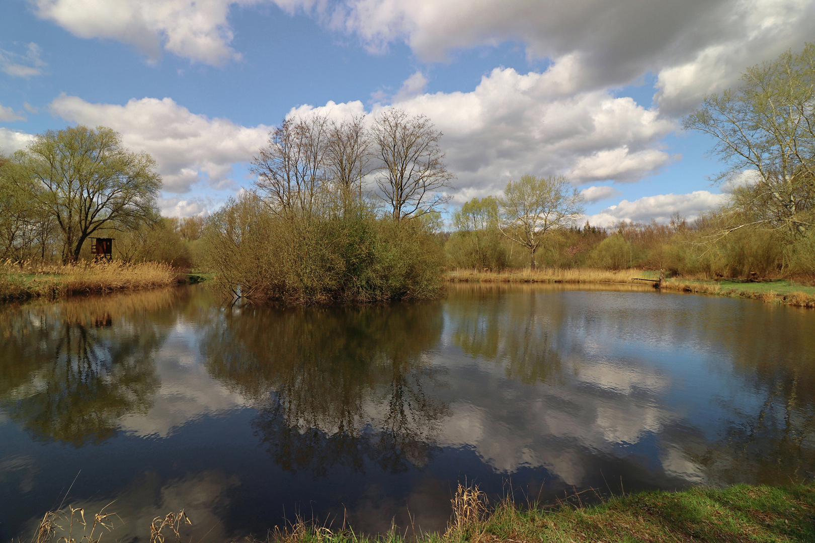 Spiegelung auf dem Weiher