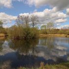 Spiegelung auf dem Weiher