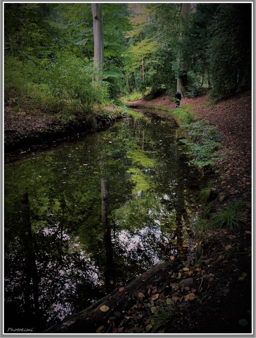 Spiegelung auf dem Weiher (I) 