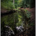 Spiegelung auf dem Weiher (I) 