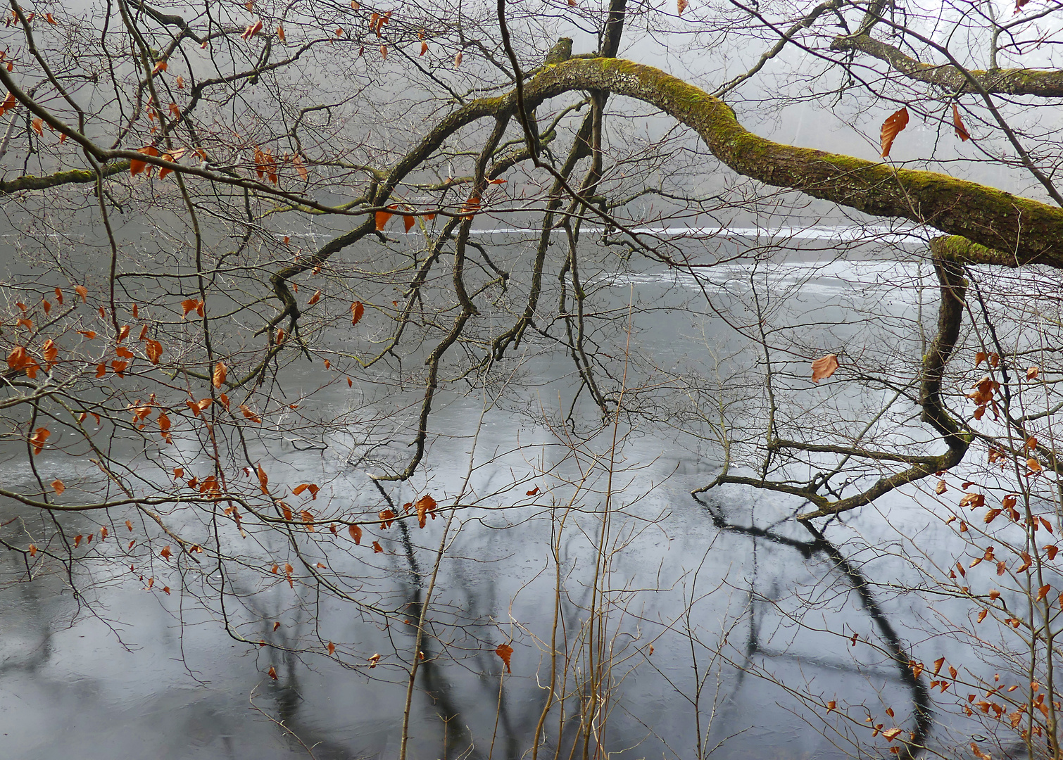 Spiegelung auf der dünnen Eisschicht