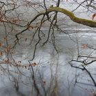 Spiegelung auf der dünnen Eisschicht