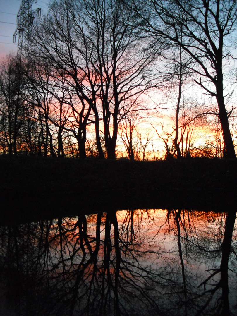 Spiegelung auf einem See