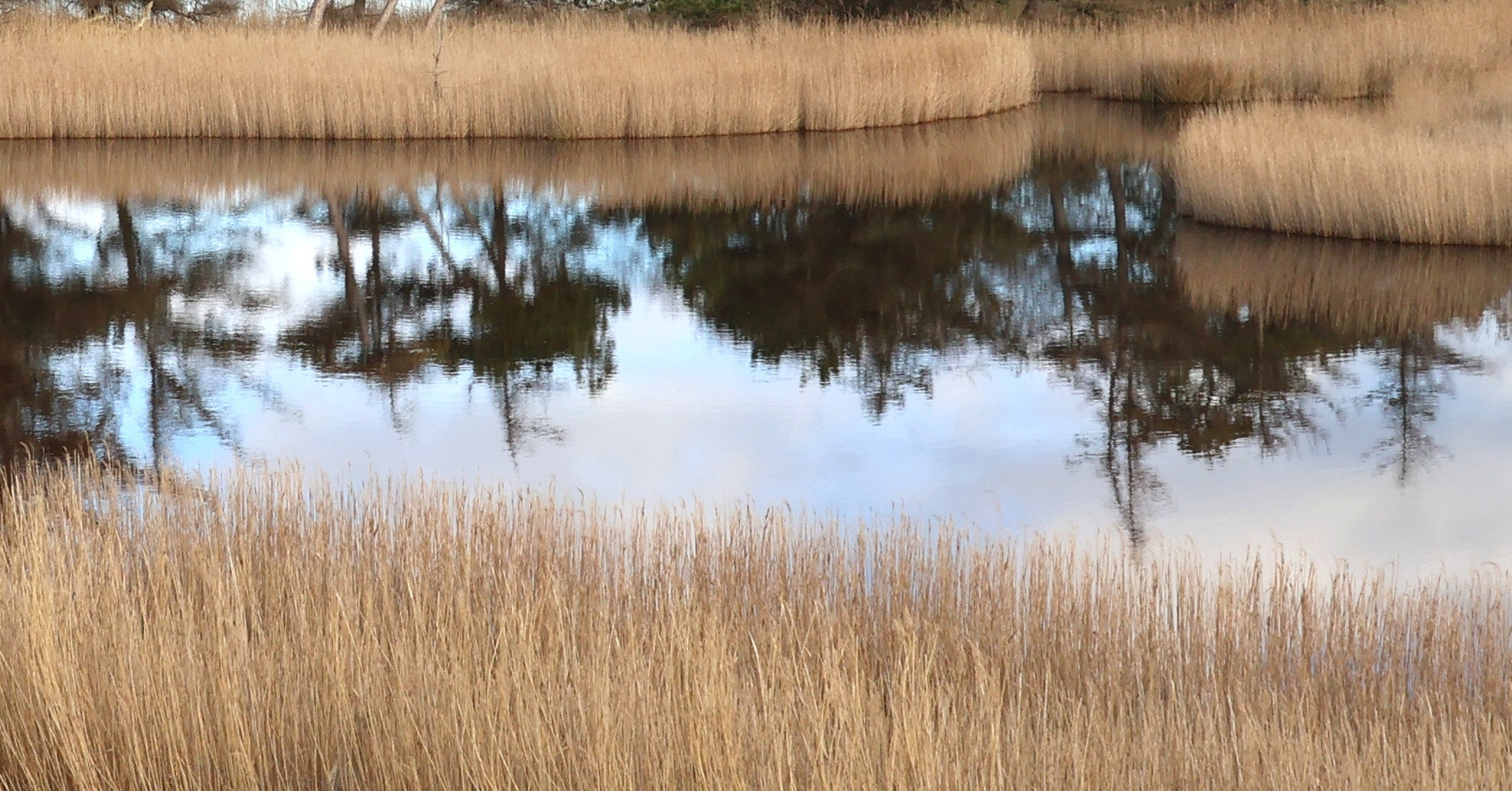 Spiegelung auf Fehmarn