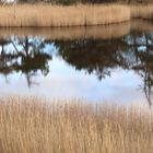 Spiegelung auf Fehmarn