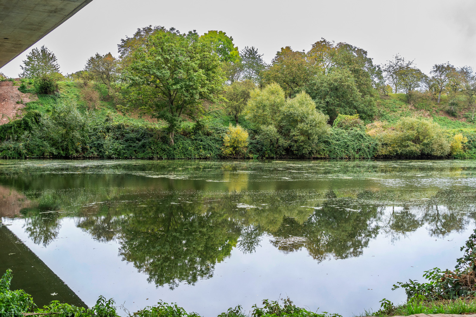 Spiegelung auf Neckar.