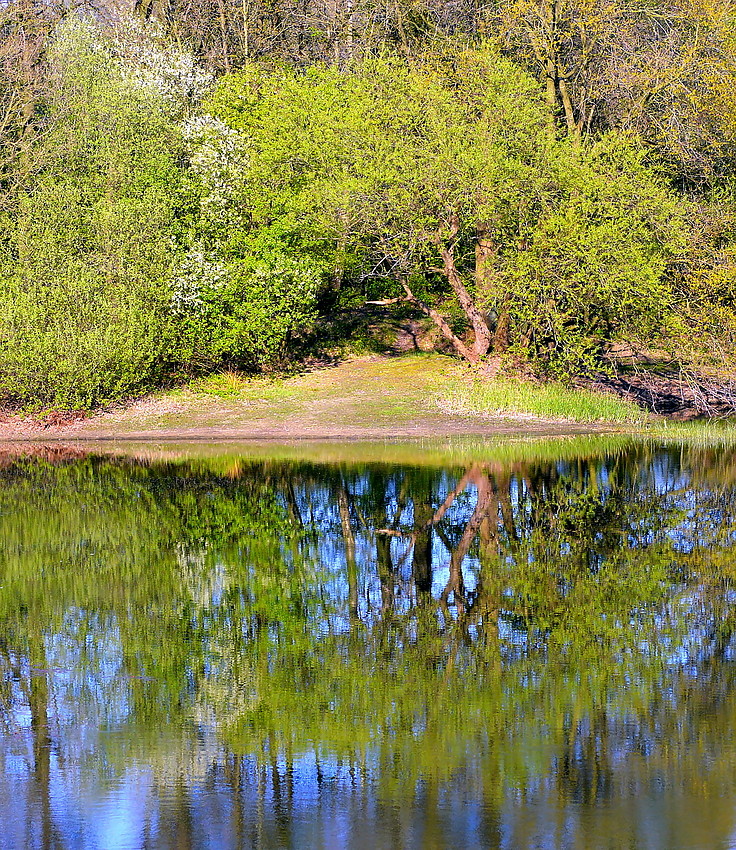 Spiegelung auf Wasseroberfläche