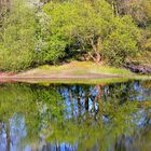 Spiegelung auf Wasseroberfläche