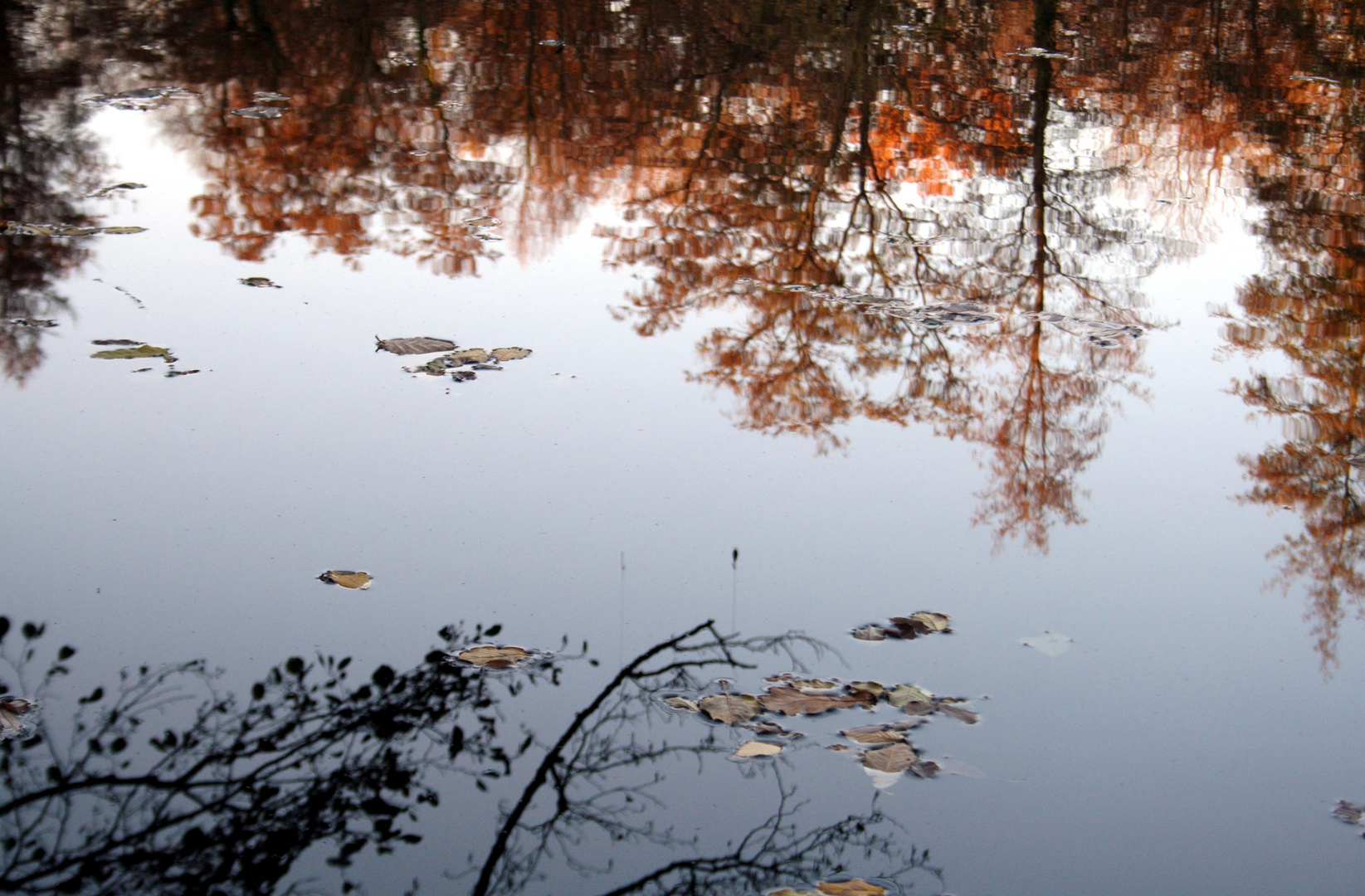 Spiegelung