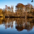 Spiegelung - Bagnosee 