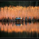 Spiegelung bei Abendsonne