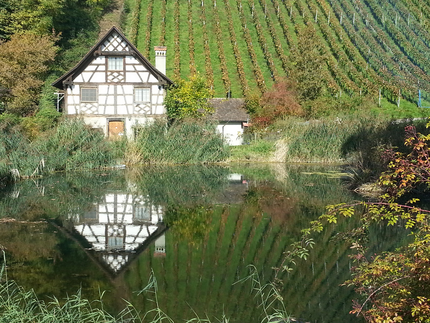 Spiegelung bei der Kartause Ittingen