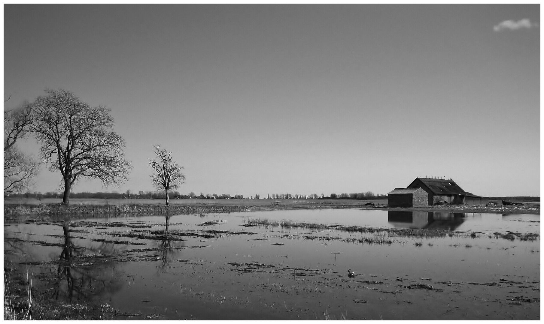 Spiegelung bei Middelhagen/ Rügen