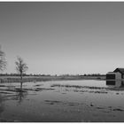 Spiegelung bei Middelhagen/ Rügen