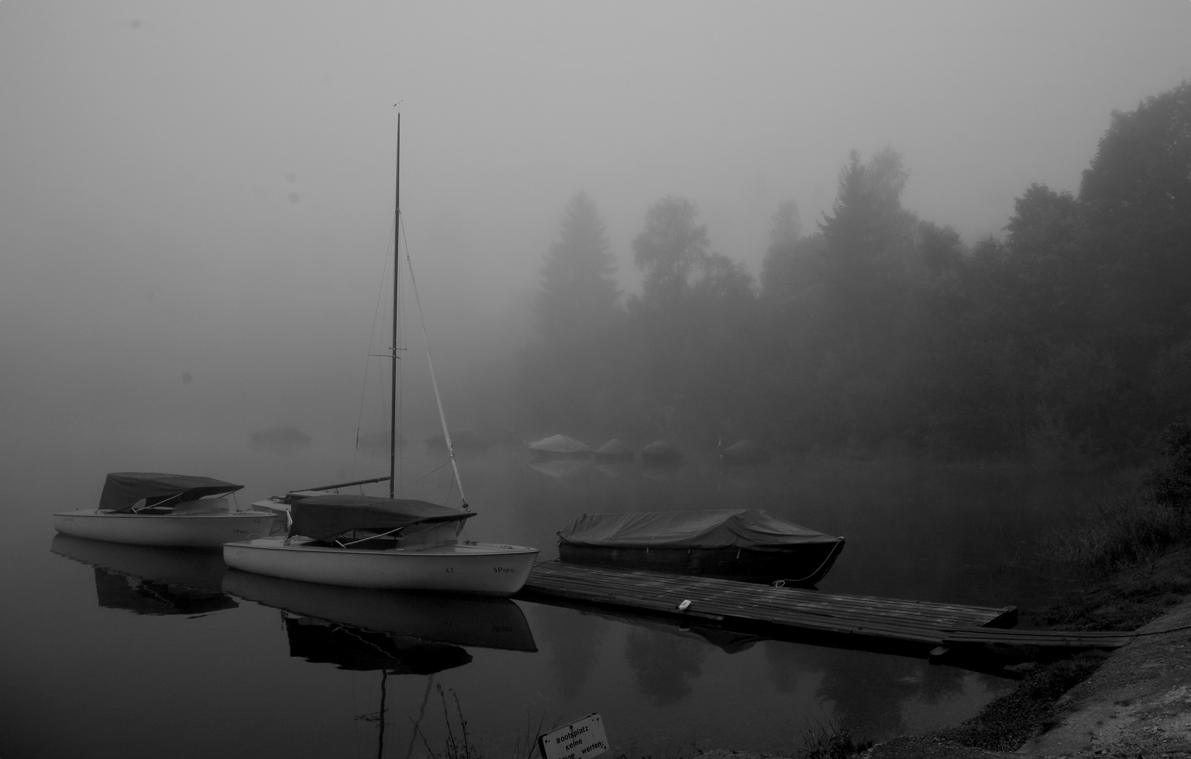 Spiegelung bei Morgennebel