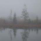 Spiegelung bei Nebel im Wasser