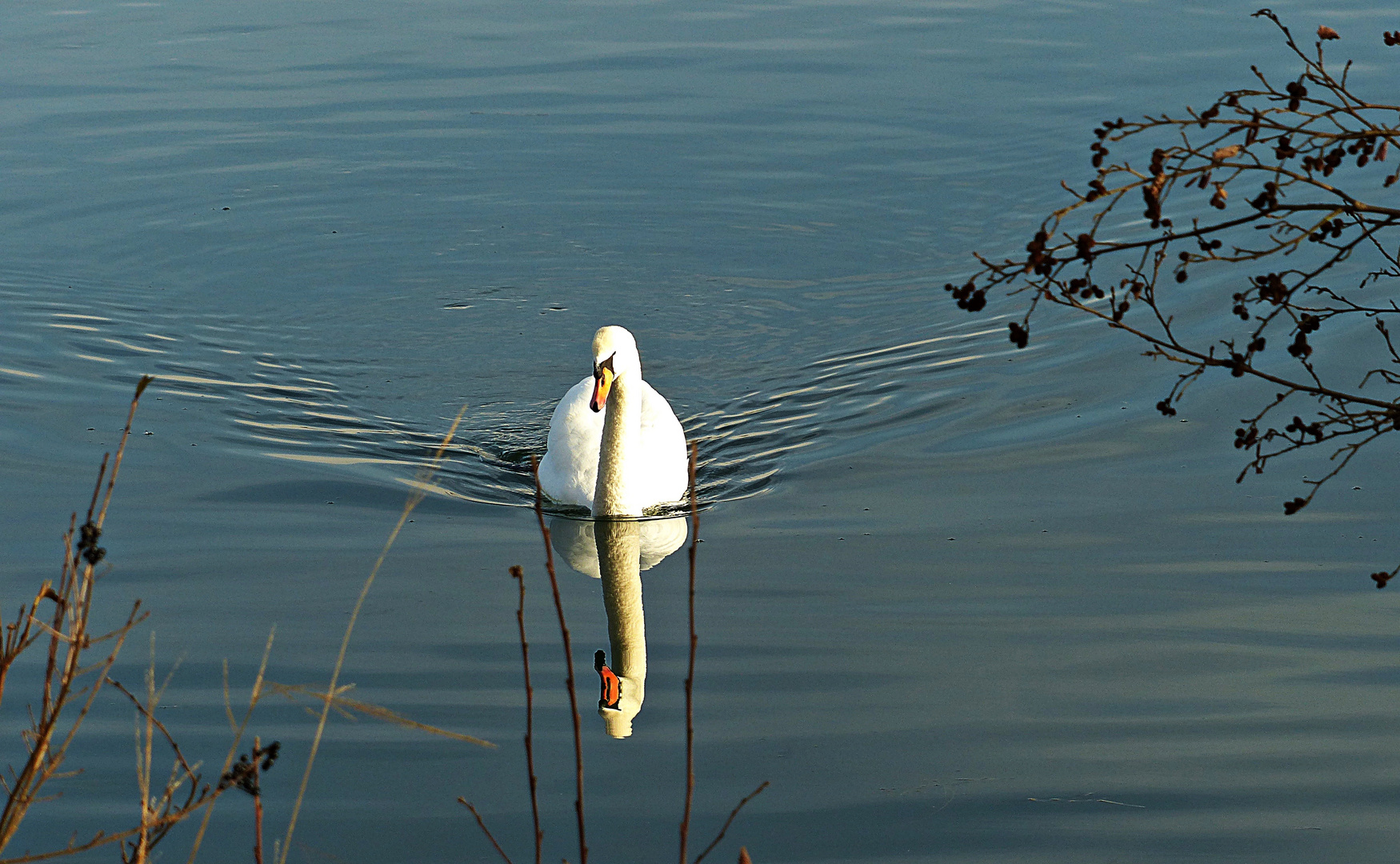 Spiegelung beim Lech