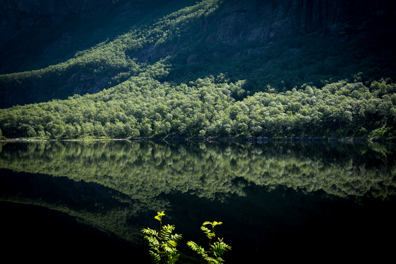 Spiegelung Bergsee