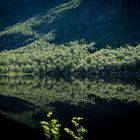 Spiegelung Bergsee