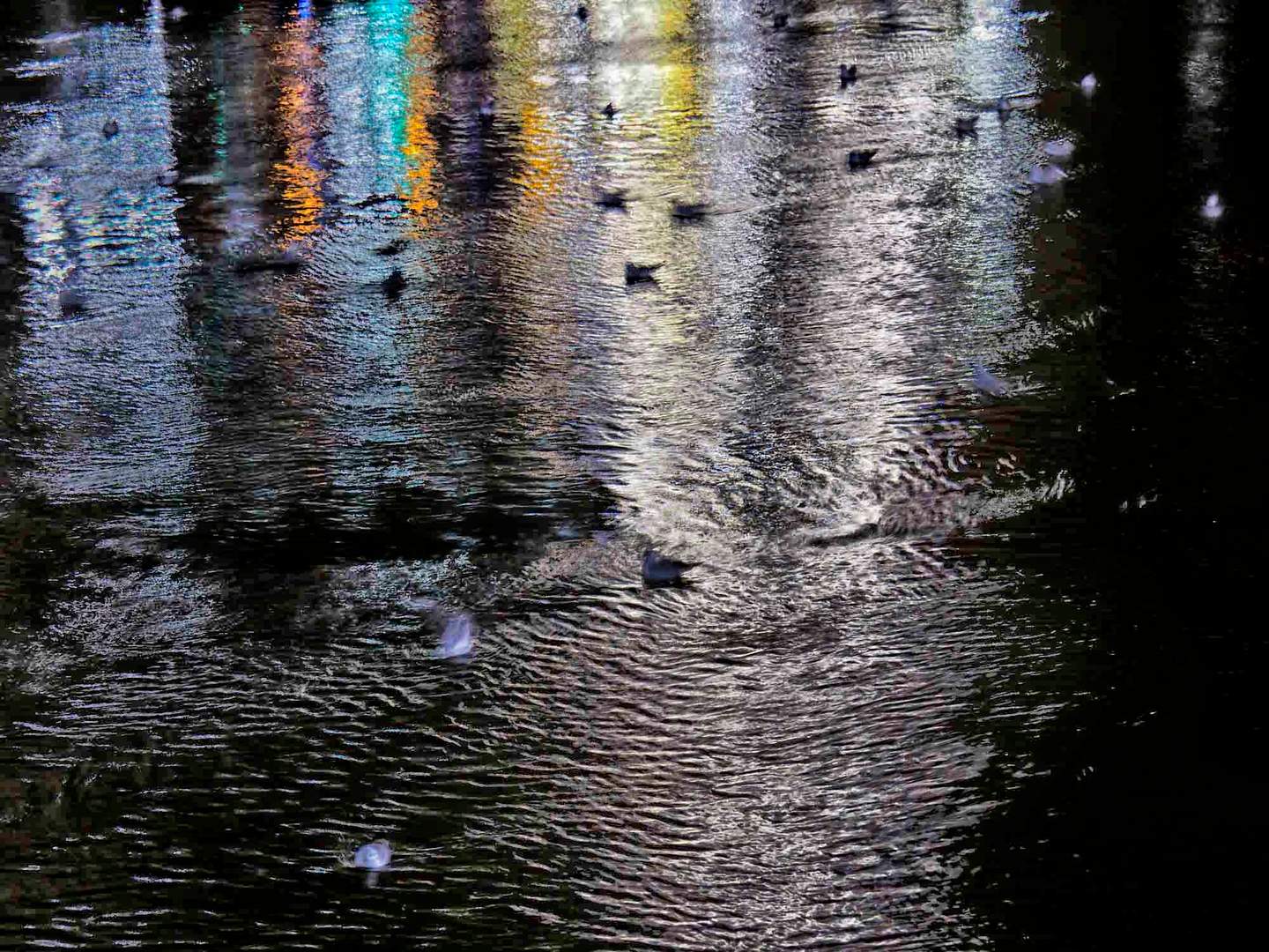 Spiegelung Binnenalster Hamburg