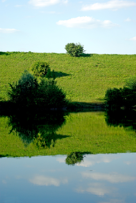 - Spiegelung -