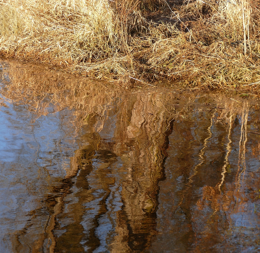 Spiegelung Foto &amp; Bild | wasser, natur, saale Bilder auf fotocommunity