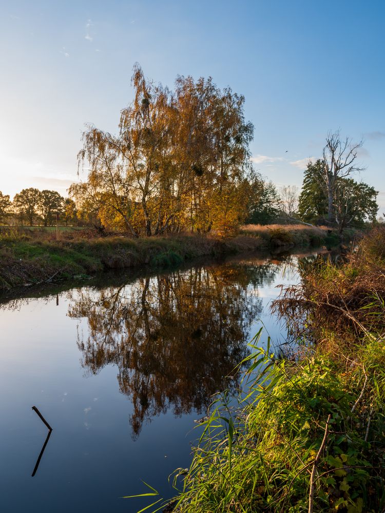 Spiegelung