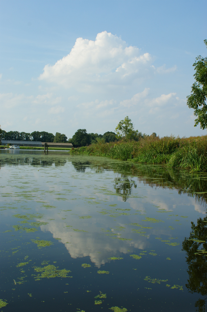 Spiegelung