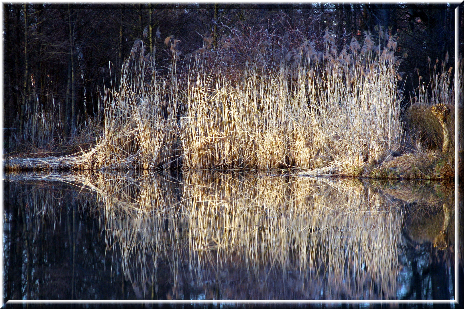 Spiegelung