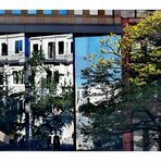 Spiegelung City Baum p30-25-726-col + Spiegelfoto