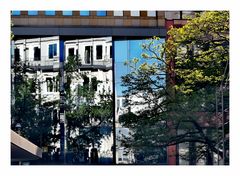 Spiegelung City Baum p30-25-726-col + Spiegelfoto