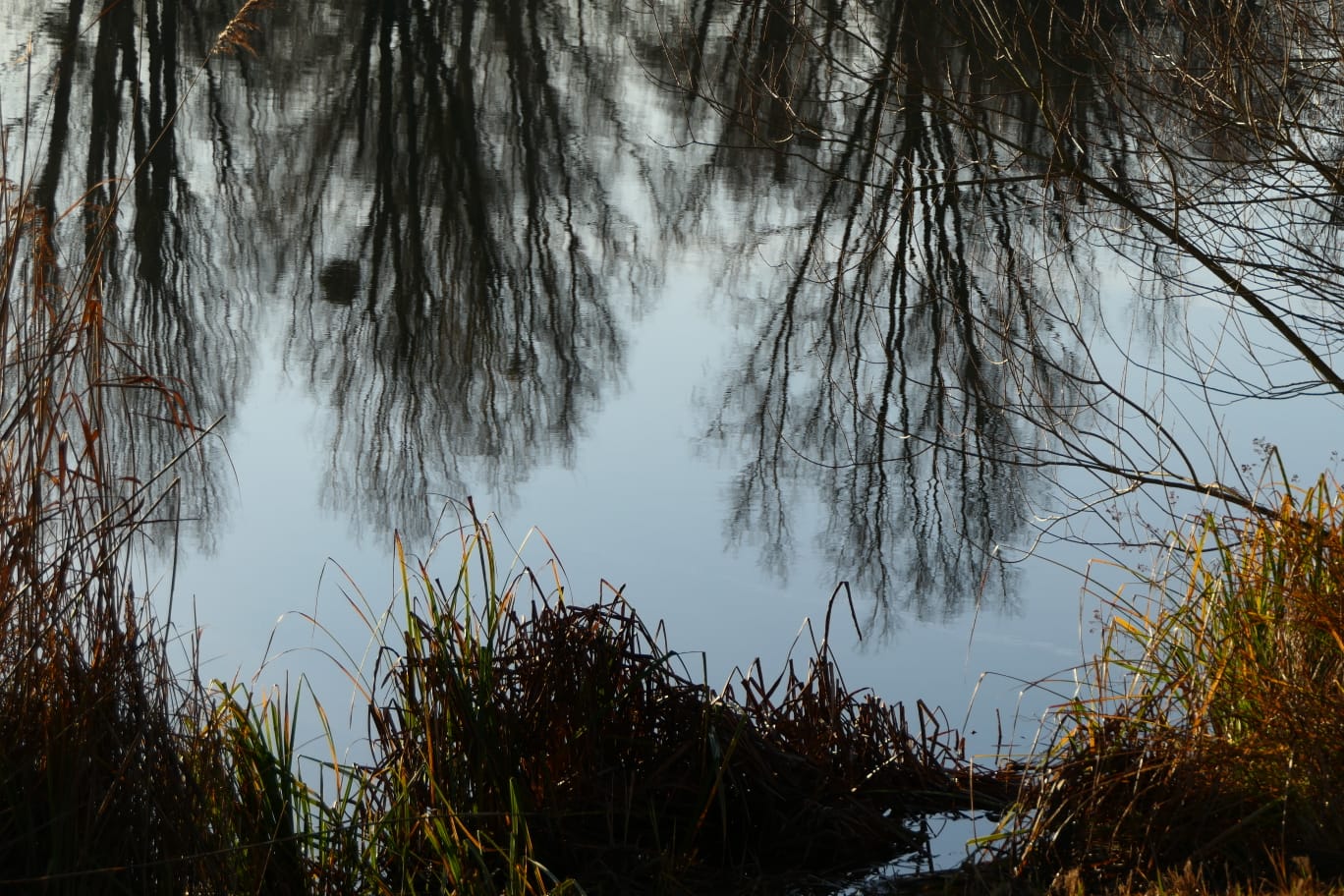 _______Spiegelung______