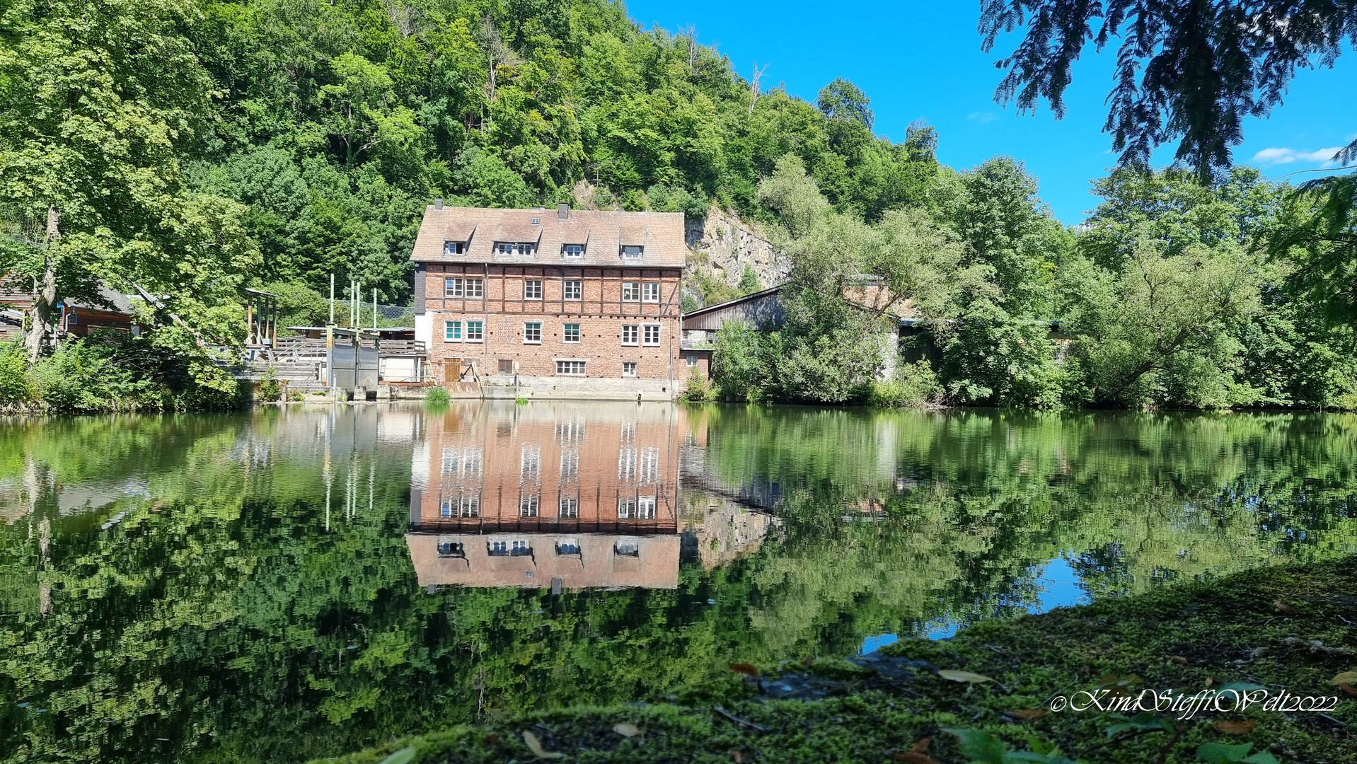 Spiegelung