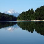 Spiegelung der Alpen